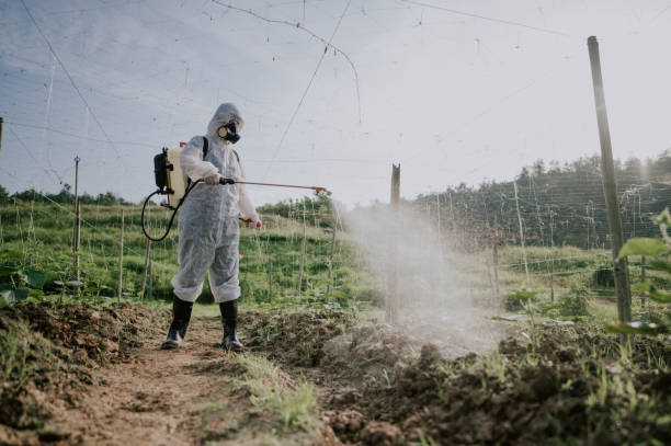 Best Best Pest Control Companies  in Diamond Bar, CA