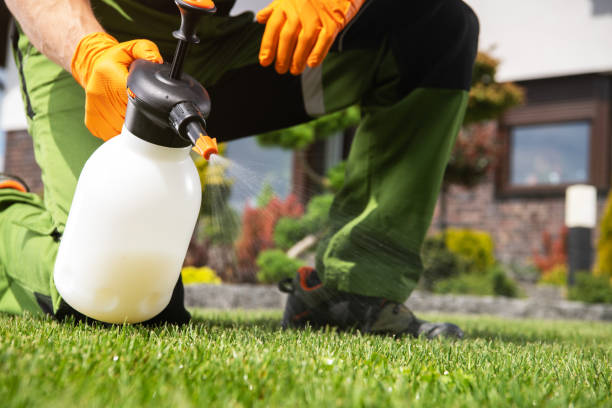 Best Pest Inspection Near Me  in Diamond Bar, CA