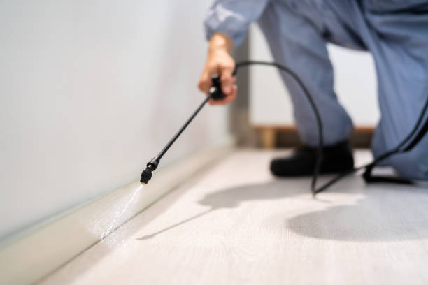 Best Pest Removal Services  in Diamond Bar, CA