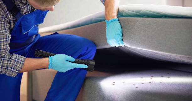 Best Termite Control Services  in Diamond Bar, CA
