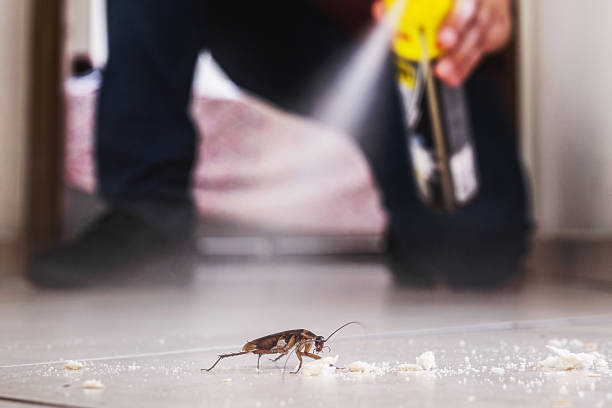 Best Pest Control Near Me in Diamond Bar, CA